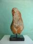 Torso Fiero Torso Fiero